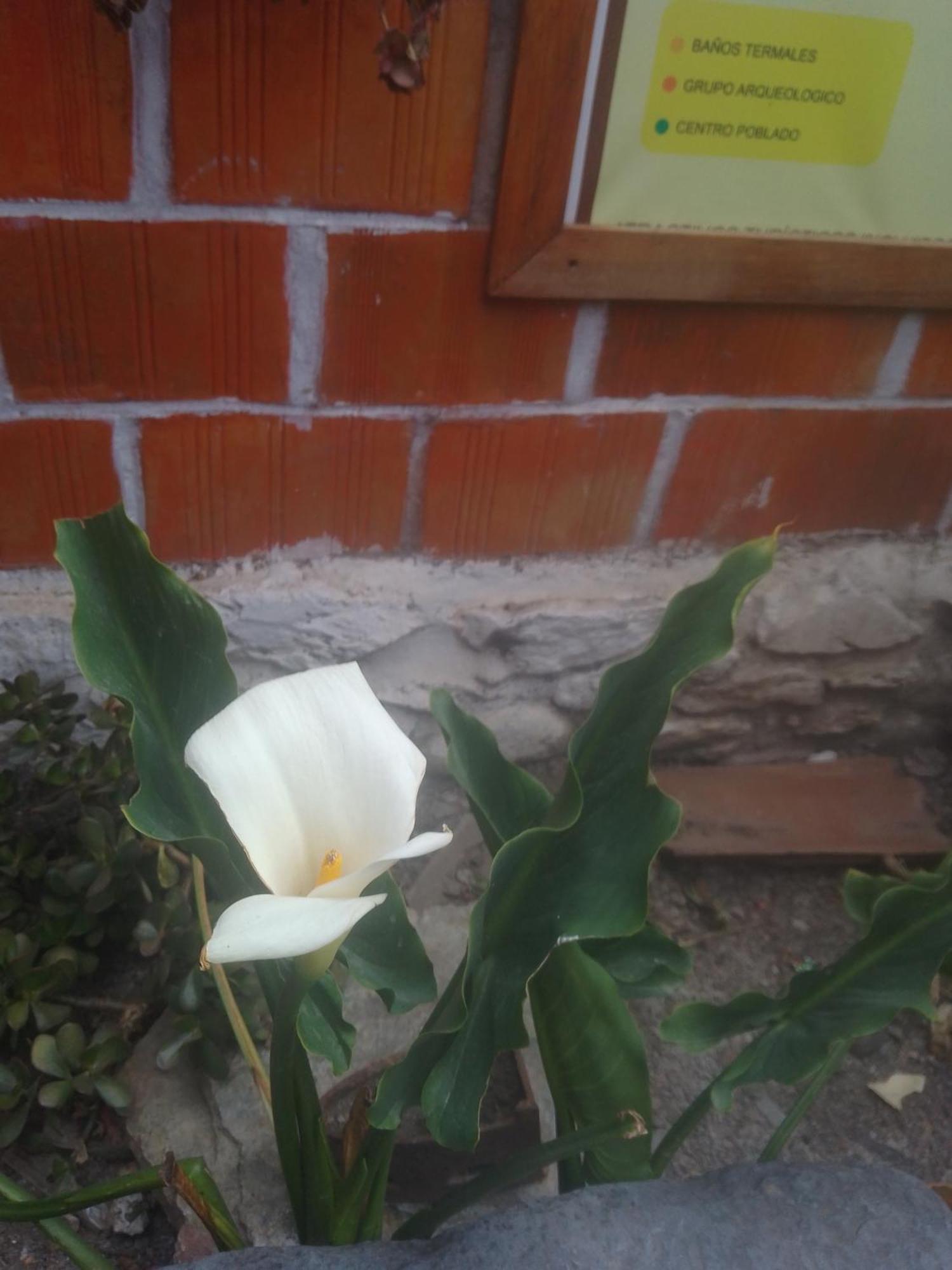 Hostal Raymi Ollantaytambo Kültér fotó